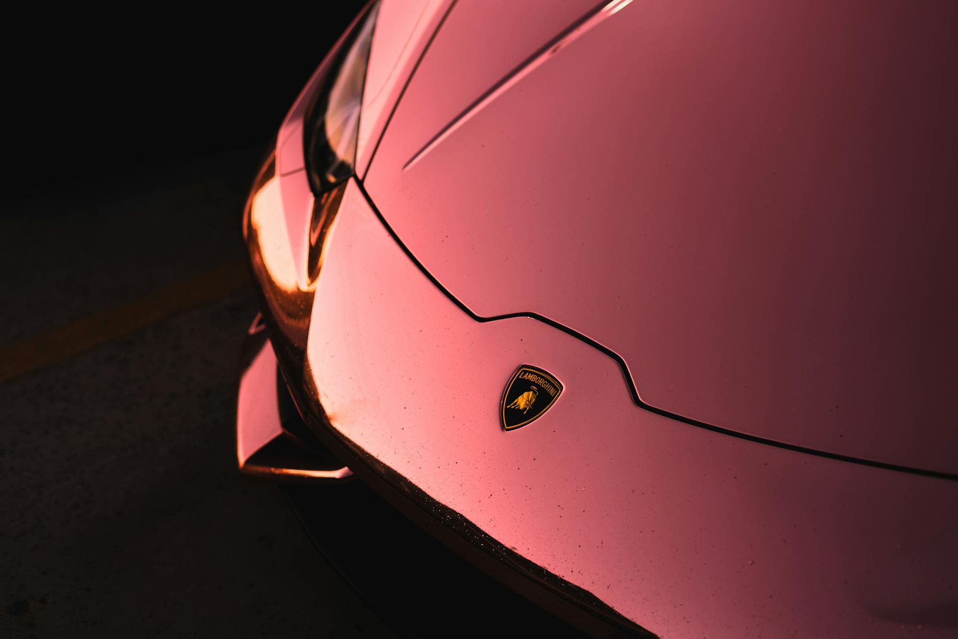 Wubuxahamiispartners